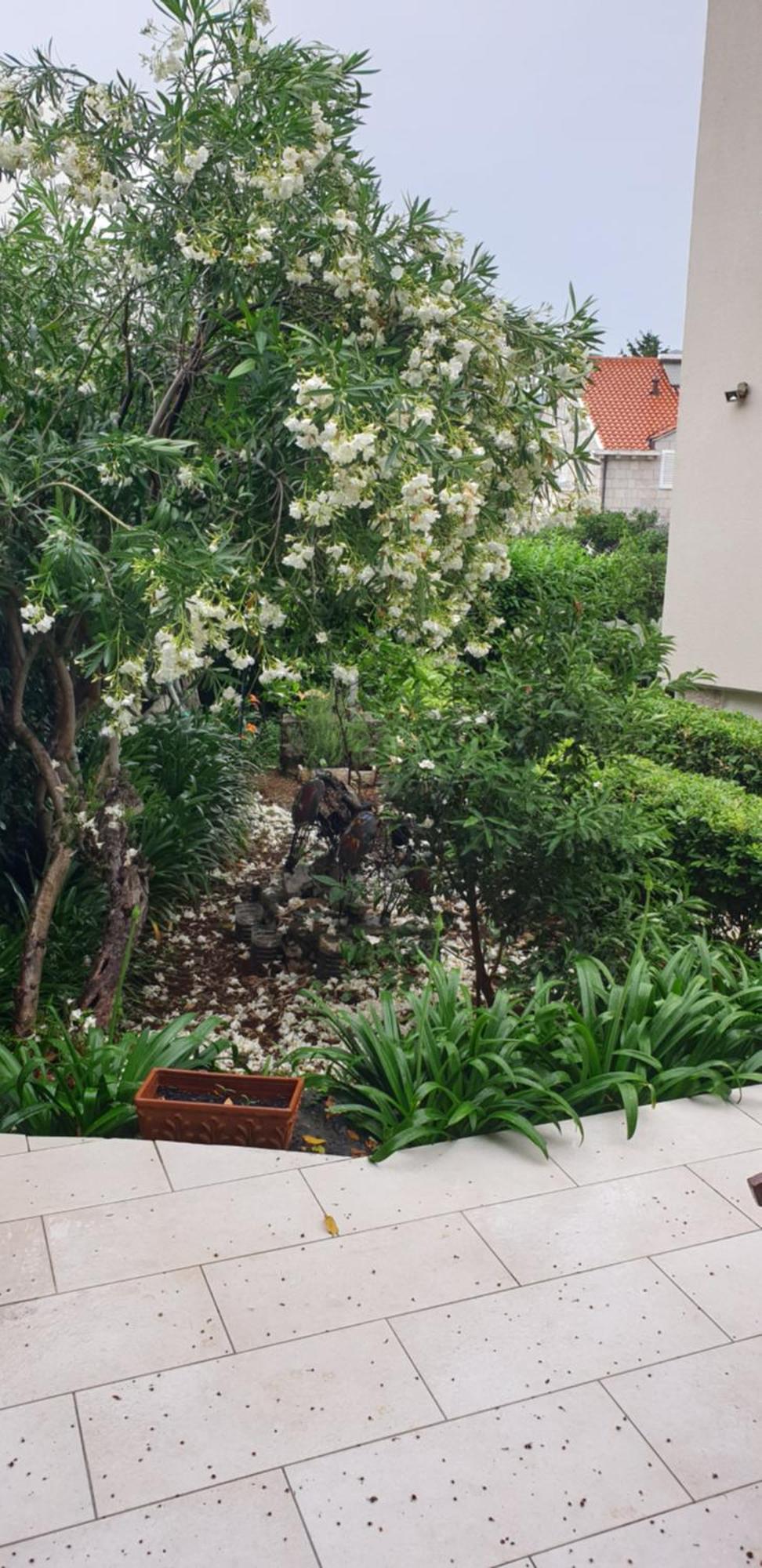 Apartment Luna I Lucky Dubrovnik Dış mekan fotoğraf