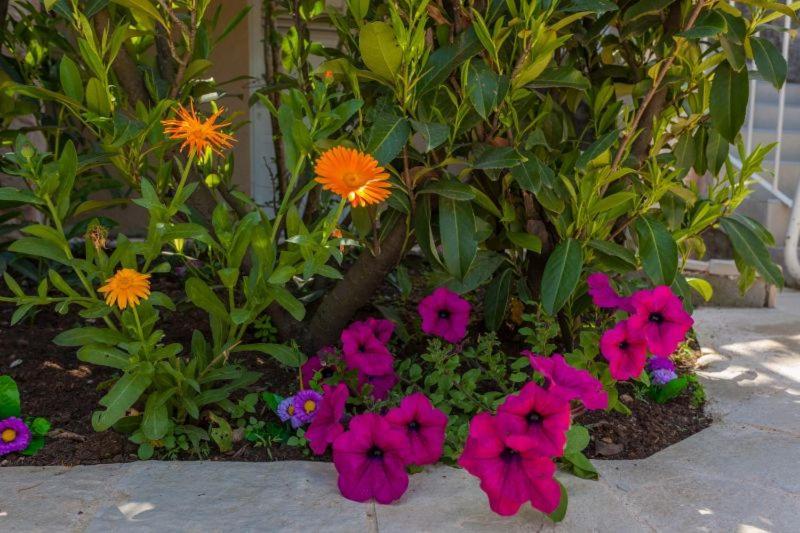 Apartment Luna I Lucky Dubrovnik Dış mekan fotoğraf